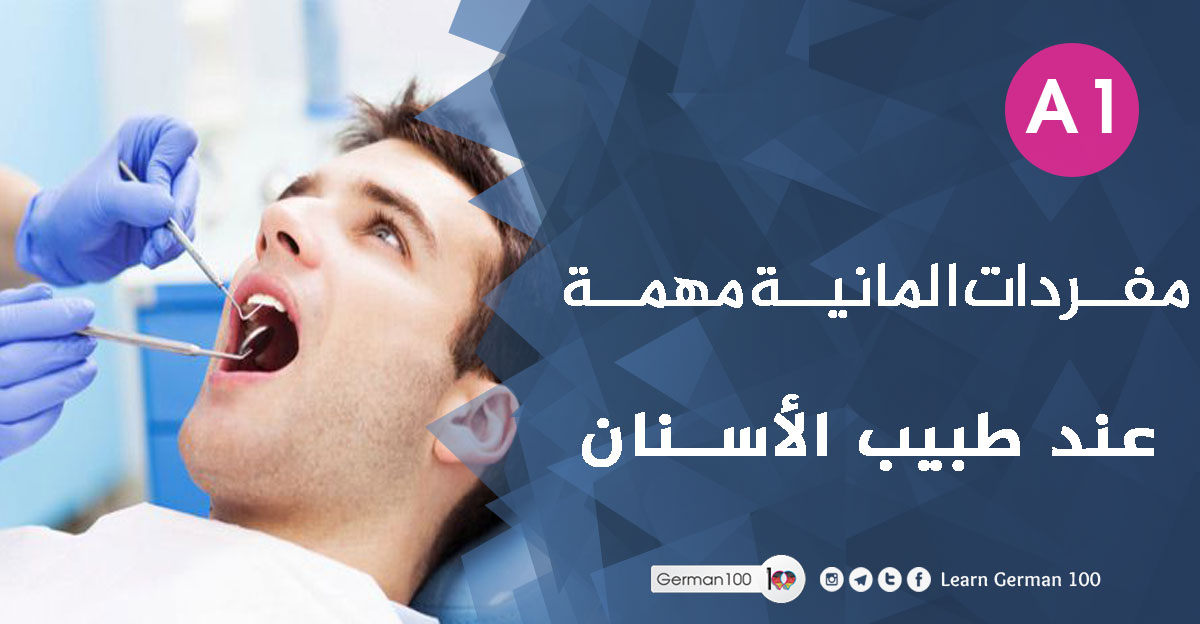 اسماء الاسنان بالعربي عند طبيب الاسنان بالالماني مصطلحات طب الاسنان بالالماني