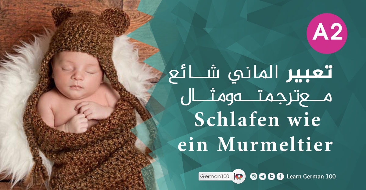 تعبير الماني شائع مع ترجمته ومثال Schlafen wie ein Murmeltier schlafen 1 تعلم اللغة الالمانية